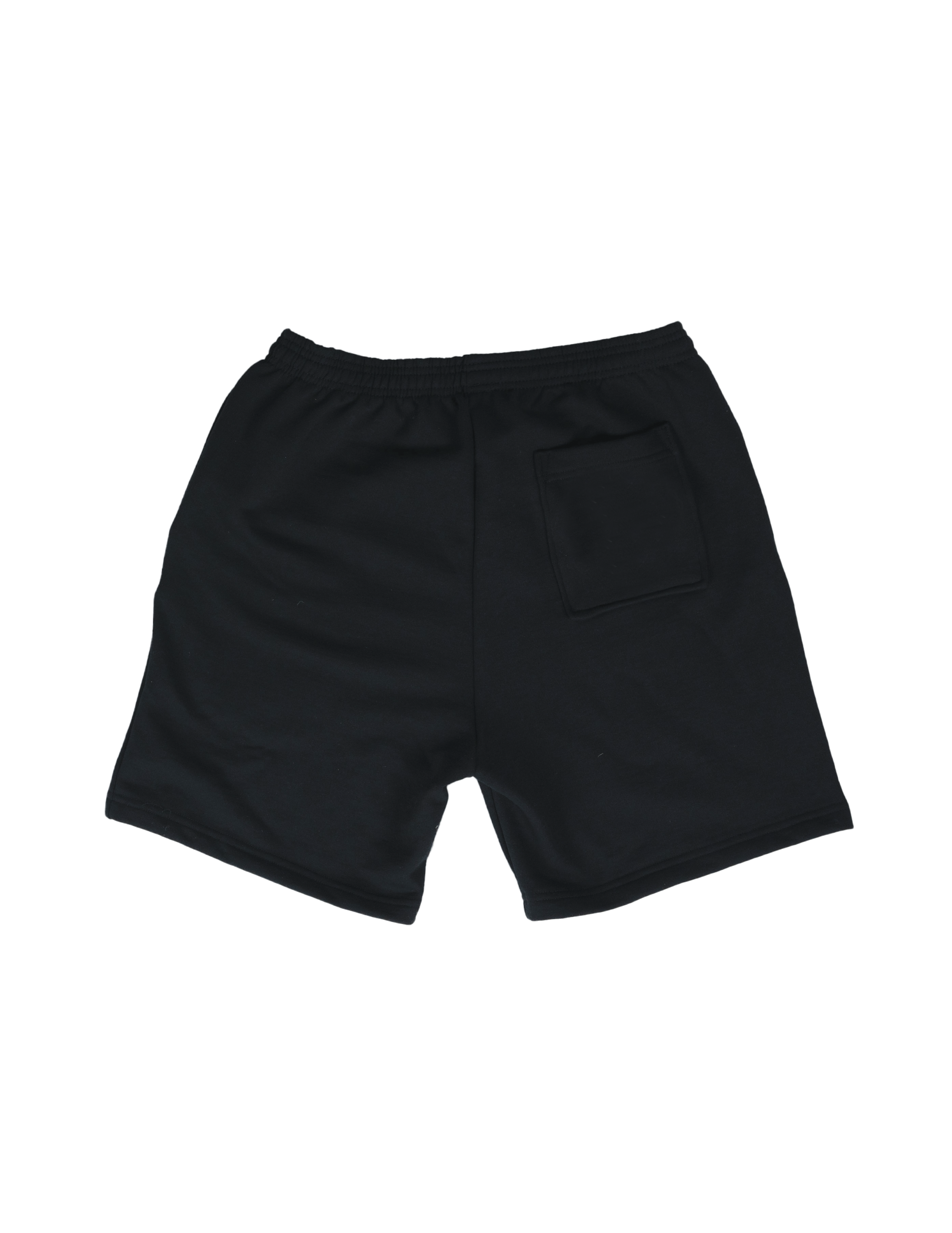 Resist Shorts