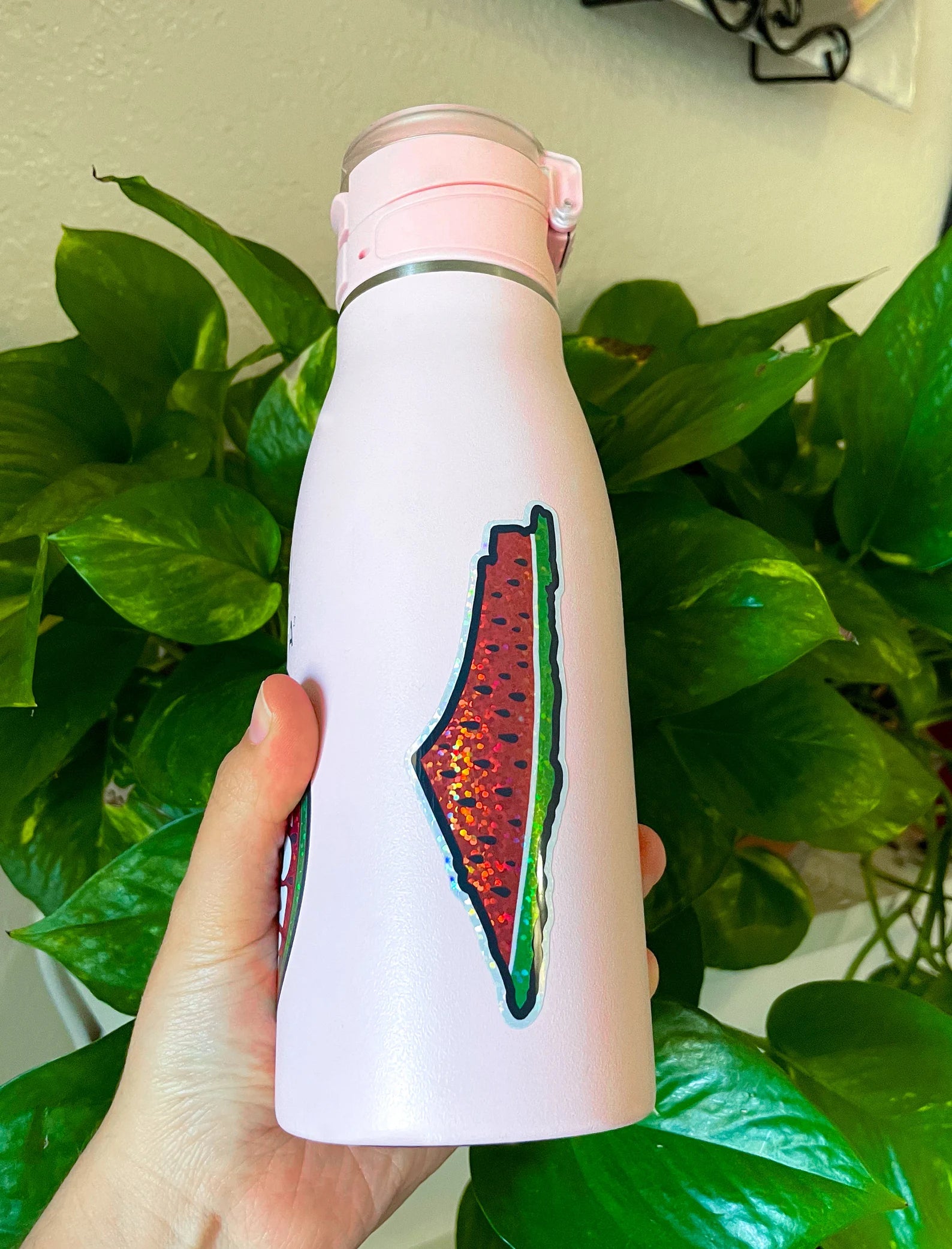 Palestine Watermelon Map Decal - Glitter Vinyl